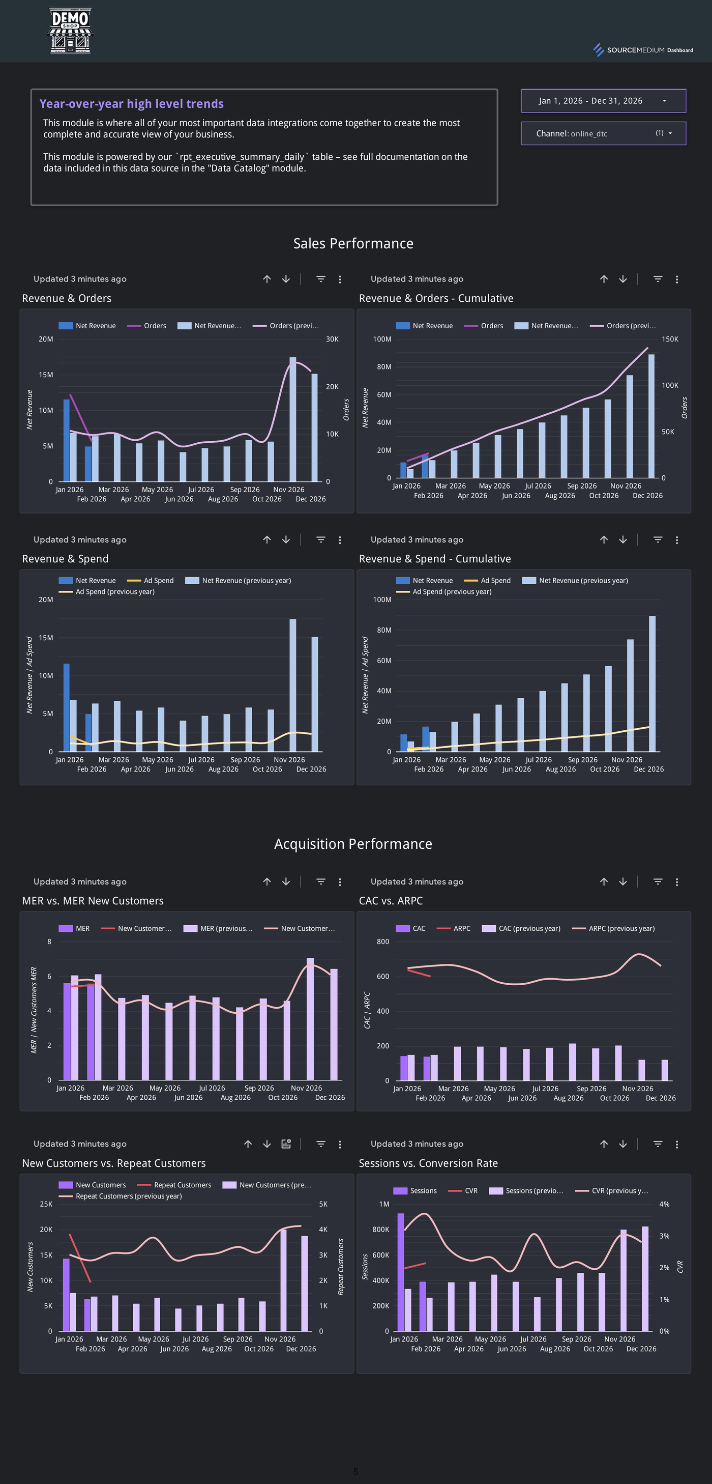 Executive Summary daily trend view with time-series performance charts by metric